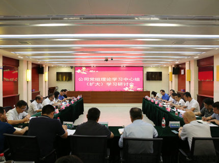 J9集团公司党组理论进建中心组发展主题教育第五次集中进建钻研