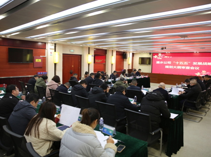 J9集团公司召开“十五五”发展战术规划纲领审查会