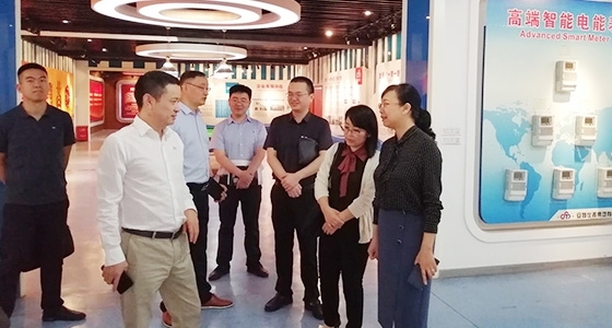 青田县组织部长金志红调研人生就是博园区党总支