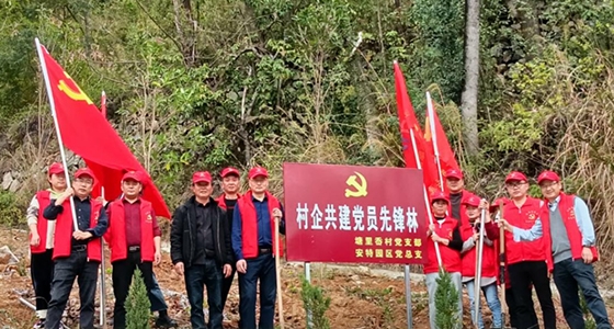 村企共建，，，，共植先锋林