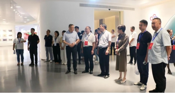 丽水市第五届人大代表景宁中心组调研人生就是博集团