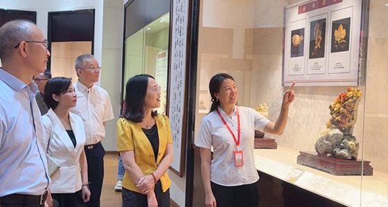 探索东方风范，，，，，，人生就是博·倪东方艺术博物馆与时代脉搏共振